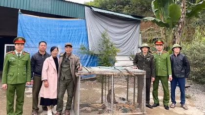 Công an xã ở Thanh Hóa vận động người dân giao nộp nhiều cá thể động vật hoang dã quý hiếm