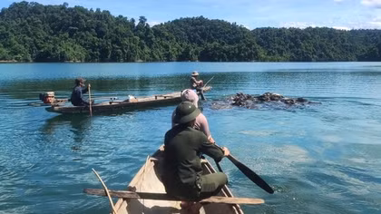 Ngăn chặn tình trạng thả rông trâu, bò phá hoại rừng trồng phòng hộ ở Bắc sông Hương