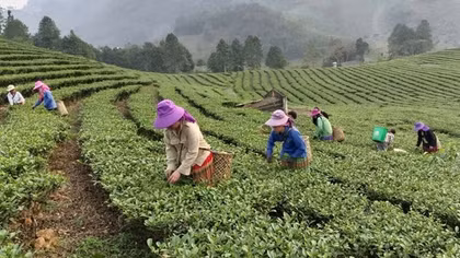 Giải pháp để 75.000 tỷ đồng đến được với các hộ nghèo đúng đối tượng
