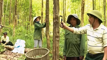 Người mở lối giữa rừng hoang