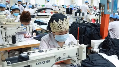Xuất khẩu thuộc tốp đầu thế giới, hàng dệt may, da giày vẫn chưa thể "phủ sóng" thị trường nội địa