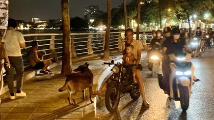Người đàn ông phát bệnh dại sau 6 tháng bị chó cắn