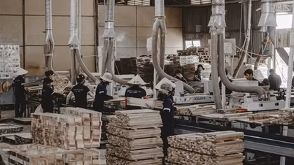 Doanh nghiệp xuất khẩu gỗ chủ động ứng phó trước nguy cơ Mỹ tăng thuế