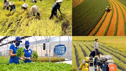 Đề xuất tăng mức cho vay không cần tài sản bảo đảm với tín dụng phục vụ phát triển nông nghiệp