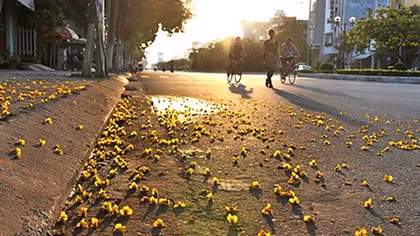 Hà Nội ngày nắng, mưa về chiều tối, Trung Bộ trời nóng