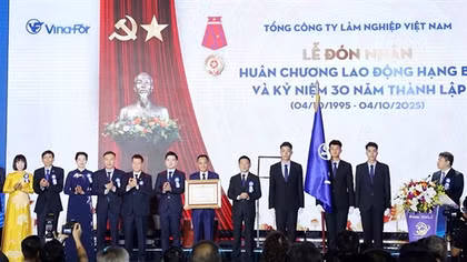 Tổng Công ty Lâm nghiệp Việt Nam phát triển kinh tế xanh, góp phần đảm bảo an ninh, quốc phòng