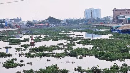Xung quanh việc chấm thầu và trúng nhiều gói thầu sát giá ở Dự án kênh Tham Lương