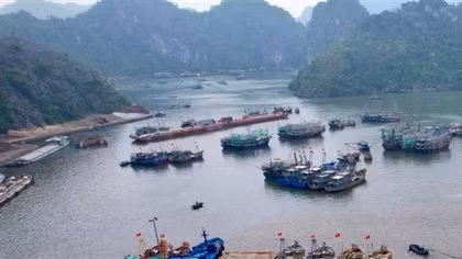 Khởi tố một Phó giám đốc doanh nghiệp vì cưỡng đoạt tài sản
