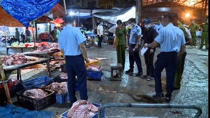 Vụ lợn dịch làm nóng phiên chất vấn HĐND TP Hà Nội