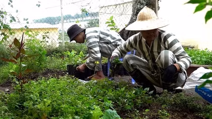 Niềm vui trước ngày đặc xá