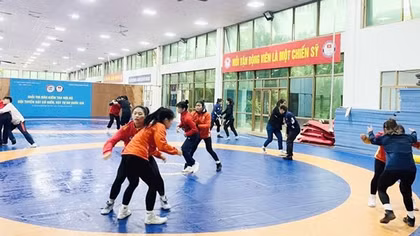 Vật Việt Nam trăn trở tìm lại vị thế