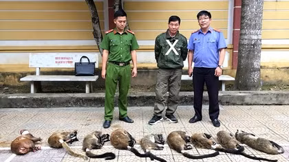 Hệ lụy từ buôn bán động vật hoang dã trái phép