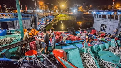 Đầu năm rộn ràng những chuyến biển bội thu