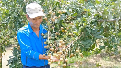 Sản xuất sạch chinh phục thị trường