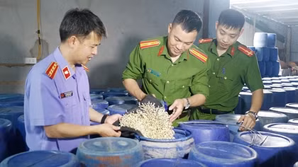 Khi thực phẩm “bẩn” len lỏi vào thị trường