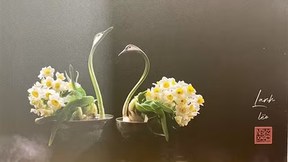 Thú chơi tỉa củ thủy tiên hút giới trẻ Hà Thành