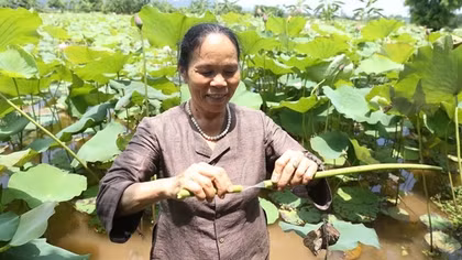 Người giữ hồn lụa tơ sen