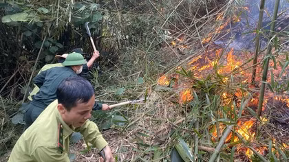 Thủ tướng chỉ đạo tập trung khắc phục hậu quả vụ cháy rừng tại Tuyên Quang