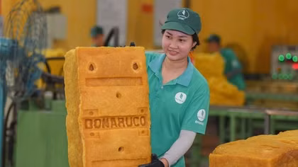 VRG đáp ứng EUDR, tiên phong chứng nhận cao su phát thải thấp