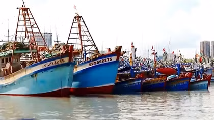 TP Hồ Chí Minh quyết liệt ngăn tàu cá không đủ điều kiện hoạt động