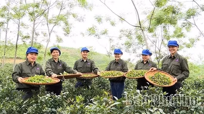 Hướng tới nền nông nghiệp hiện đại, chất lượng và giá trị cao