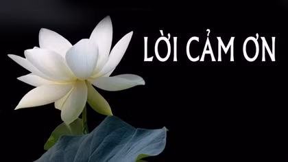 Lời cảm ơn