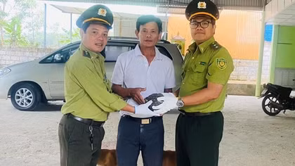 Loại bỏ sử dụng động vật hoang dã nguy cấp, quý hiếm trong y học cổ truyền