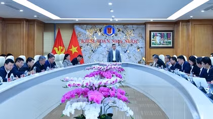 Kiểm toán chuyên đề thực hiện theo hướng đánh gía và tư vấn chính sách