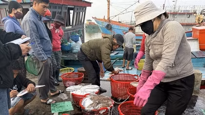 Đẩy mạnh ứng dụng công nghệ số trong khai thác thủy sản
