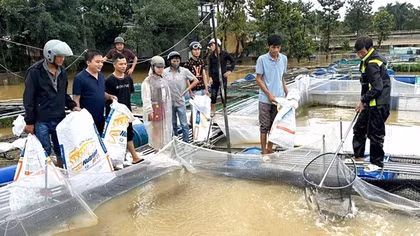 Huế khẩn trương khôi phục sản xuất, ổn định đời sống người dân sau bão lũ