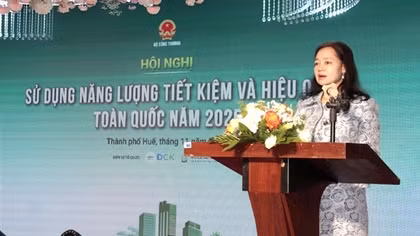 Thúc đẩy nỗ lực chung của Việt Nam trong đảm bảo an ninh năng lượng, chuyển đổi xanh
