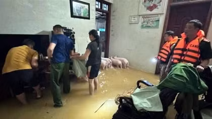 Nhiều hộ dân, trường học ở Cao Bằng ngập sâu do mưa lớn