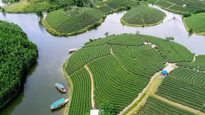Dự án nghìn tỷ Đảo chè - Cầu Cau “treo” đến bao giờ?