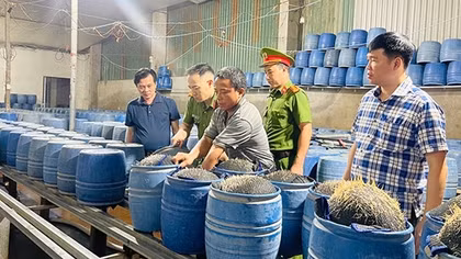 Khởi tố 3 bị can sản xuất giá đỗ bằng hóa chất độc hại