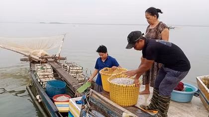 Bồng bềnh sông nước mưu sinh
