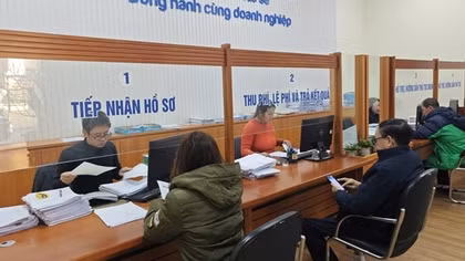 Hải Phòng quá tải hồ sơ xin đăng ký kinh doanh lĩnh vực giáo dục