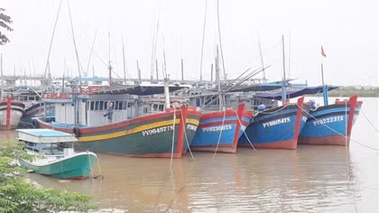 Phú Yên quyết liệt xử lý tàu cá “ba không” trước ngày 20/11