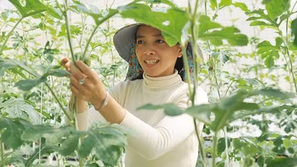 Chuyện về cô gái đem nông nghiệp sạch đến với vùng đất khó