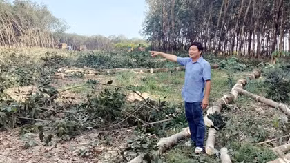 Gia đình người Nùng hiến 1,7ha đất làm đường giao thông