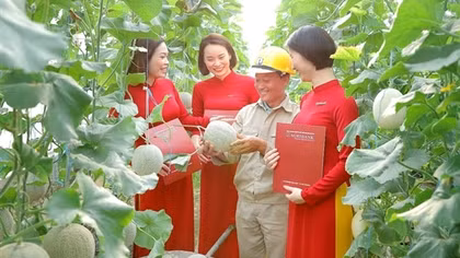 Agribank dành trên 180.000 tỷ đồng vốn ưu đãi lãi suất thấp hỗ trợ khách hàng sản xuất, kinh doanh