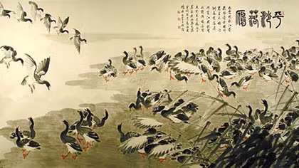Lẻ loi chim nhạn...!!!