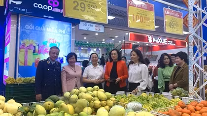 Doanh nghiệp Việt đẩy mạnh khai thác thị trường Malaysia