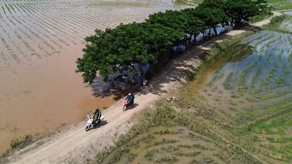 Bình yên tuyến biên giới Tây Nam