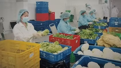 Kêu gọi đầu tư vào vùng nguyên liệu nông sản