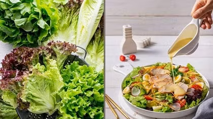 Top 10 loại rau tốt nhất thế giới gọi tên “xà lách”