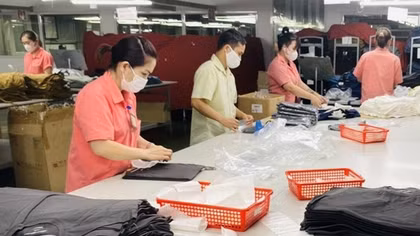 Niềm tin của doanh nghiệp đã dần quay trở lại