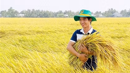 Tăng hiệu quả kinh tế từ sản xuất lúa giảm phát thải