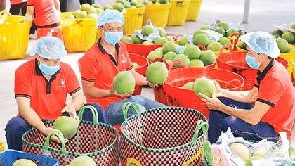 Xuất khẩu nông sản tăng