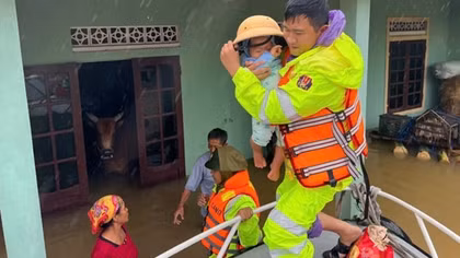Tuyệt đối không sử dụng gia súc, gia cầm chết trong mưa lũ làm thức ăn