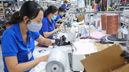 Giải pháp nào để thúc đẩy xuất khẩu hàng chính ngạch sang châu Âu?